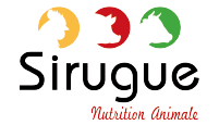 logo-sirugue