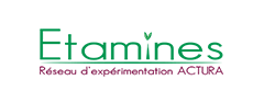 Logo d'Etamines, réseau d'expérimentation ACTURA